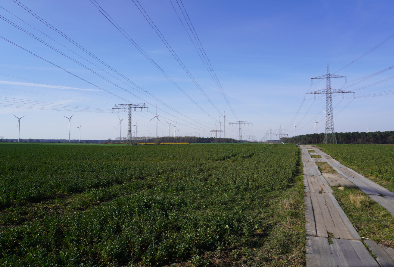 Feld mit Weg, Stromleitungen und Windrädern in Tempelfelde, Brandenburg